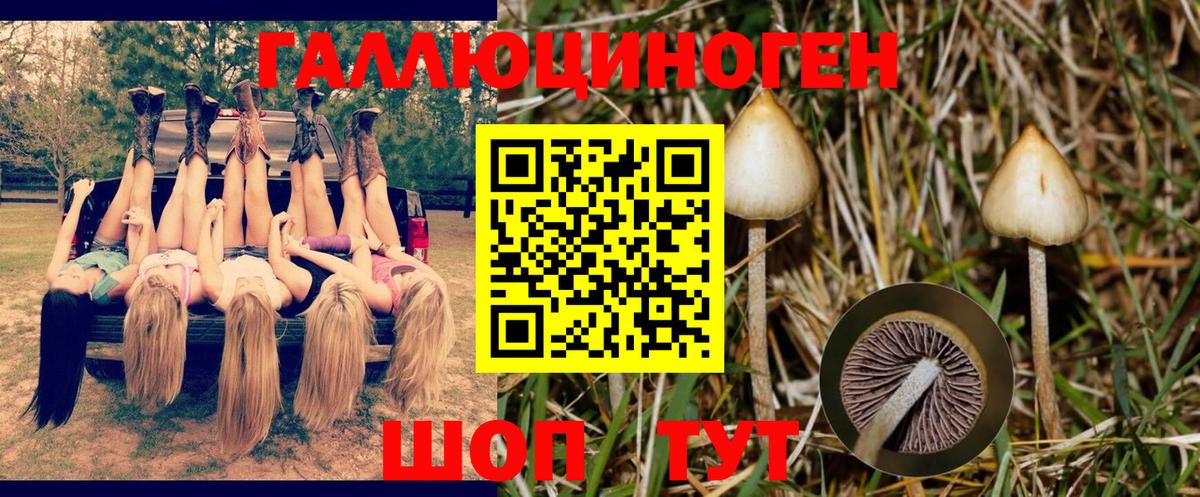 Псилоцибиновые грибы Psilocybe  Псилоцибиновые грибы Psilocybe  Южно-Сахалинск 